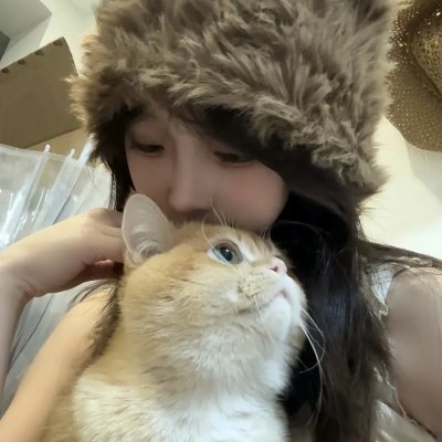 我叫哀木涕之山口山战记